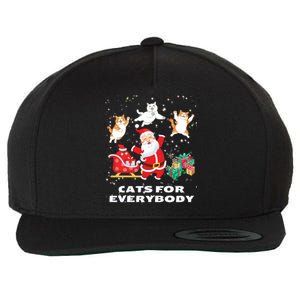 Cats For Everybody Funny Santa Claus Christmas Cat Catmas Gift Wool Snapback Cap