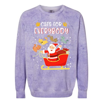 Cats For Everybody Christmas Kitten Lover Gift Colorblast Crewneck Sweatshirt