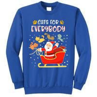 Cats For Everybody Christmas Kitten Lover Gift Sweatshirt