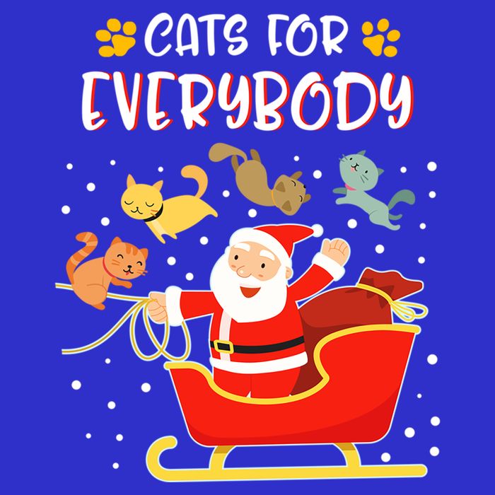 Cats For Everybody Christmas Kitten Lover Gift T-Shirt
