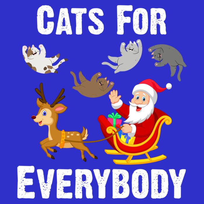 Cats For Everybody Xmas Cat Funny Santa Christmas Gift Kids T-Shirt