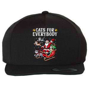 Cats For Everybody Christmas Cat Funny Xmas Women Santa Wool Snapback Cap