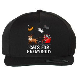 Cats For Everybody Christmas Cat Funny Xmas Santa Wool Snapback Cap