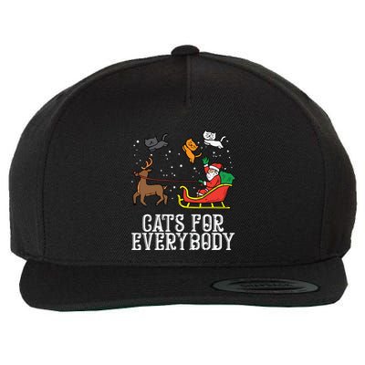 Cats For Everybody Christmas Cat Funny Xmas Women Santa Wool Snapback Cap