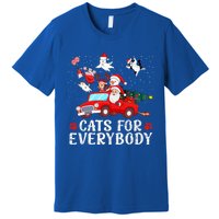 Cats For Everybody Christmas Cat Funny Xmas Santa Gift Premium T-Shirt