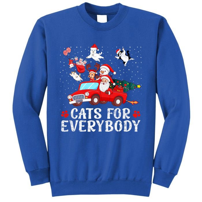 Cats For Everybody Christmas Cat Funny Xmas Santa Gift Tall Sweatshirt