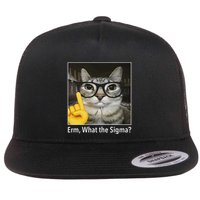 Cat Funny Erm What The Sigma Cat Meme Funny Flat Bill Trucker Hat
