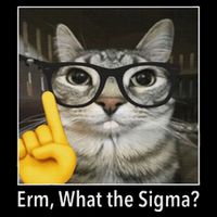 Cat Funny Erm What The Sigma Cat Meme Funny Flat Bill Trucker Hat