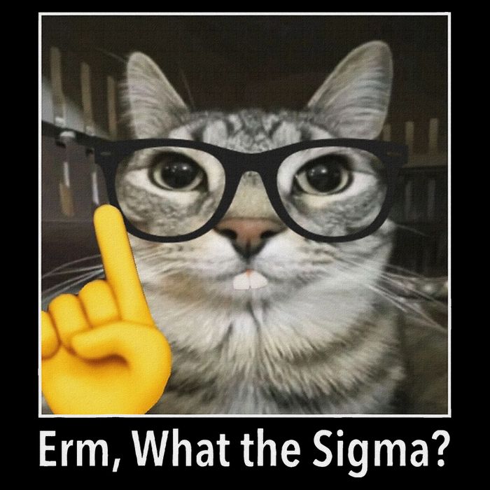 Cat Funny Erm What The Sigma Cat Meme Funny Flat Bill Trucker Hat