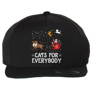 Cats For Everybody Christmas Cat Funny Xmas Santa Funny Gift Wool Snapback Cap