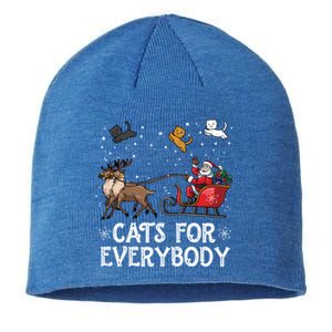 Cats For Everybody Christmas Cat Funny Xmas Santa Funny Gift Sustainable Beanie