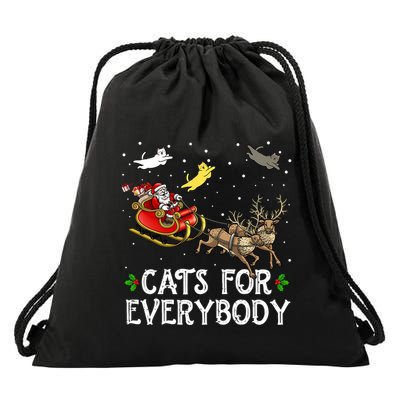 Cats For Everybody Christmas Cat Funny Xmas Santa Gift Drawstring Bag