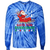 Cats For Everybody Funny Christmas Santa Cat Lovers Great Gift Tie-Dye Long Sleeve Shirt