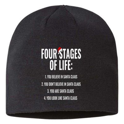 Christmas Funny Four Stages of life Santa Claus Humor Meme Sustainable Beanie
