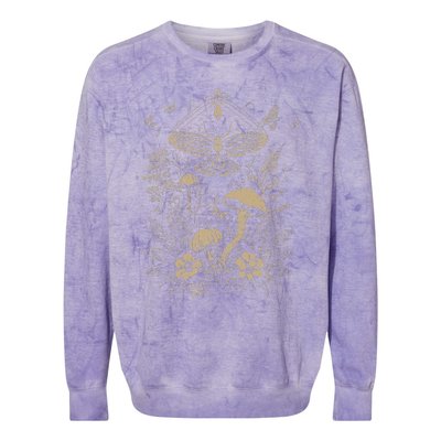 Cute Fairycore Floral Moth Aesthetic Girls Women Colorblast Crewneck Sweatshirt