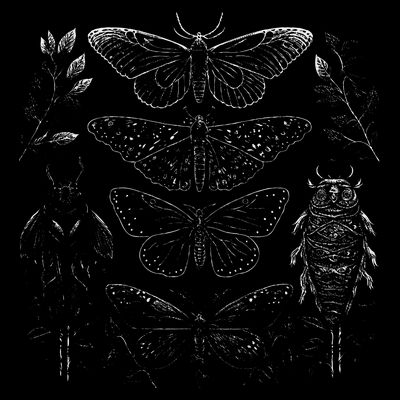 Cute Fairycore Floral Moth Aesthetic T-Shirt