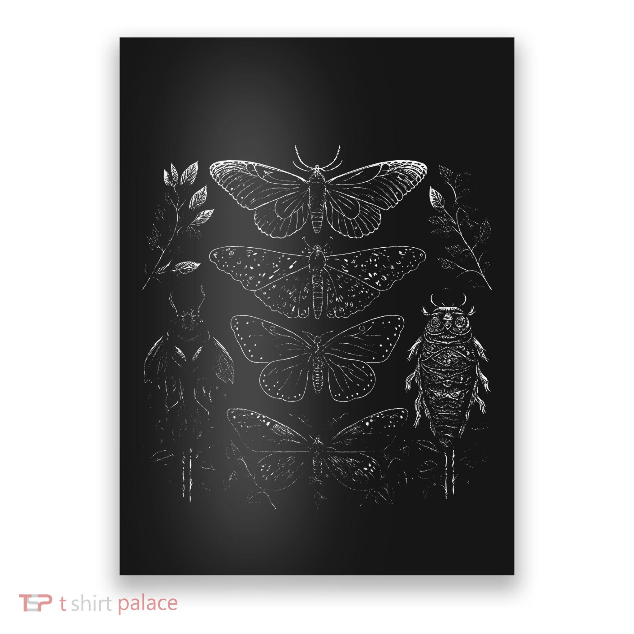 Cute Fairycore Floral Moth Aesthetic Poster