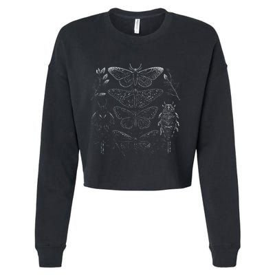 Cute Fairycore Floral Moth Aesthetic Cropped Pullover Crew