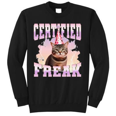 Certified Freak Funny Cat Joke Meme Cement Cursed Cat Sweatshirt