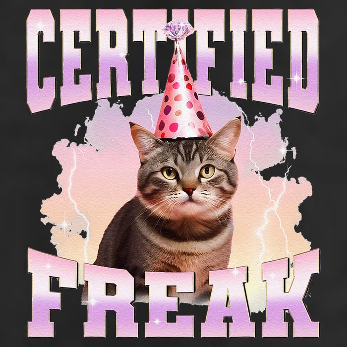 Certified Freak Funny Cat Joke Meme Cement Cursed Cat 11oz C Handle Ceramic Mug