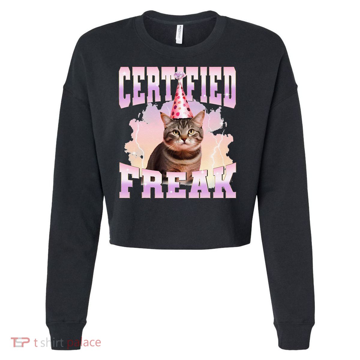 Certified Freak Funny Cat Joke Meme Cement Cursed Cat Cropped Pullover Crew