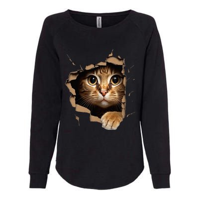 Cute kitten looks from torn fabric - Cats  Womens California Wash Sweatshirt