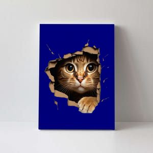 Cute kitten looks from torn fabric - Cats  Canvas