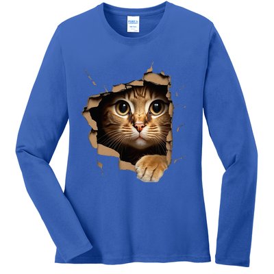 Cute kitten looks from torn fabric - Cats  Ladies Long Sleeve Shirt