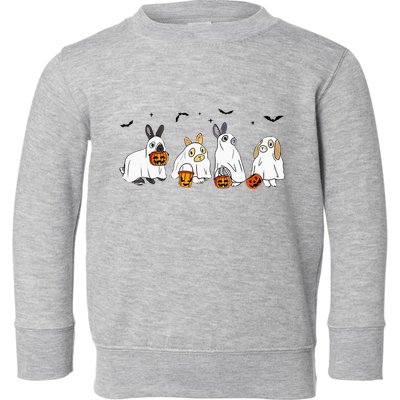Cute Fall Ghost Bunny Rabbit Halloween Costume Spooky Season Toddler Sweatshirt