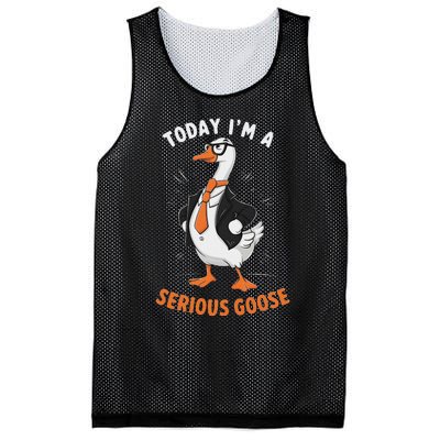 Cute Funny Goose Today IM A Serious Goose For Women Mesh Reversible Basketball Jersey Tank