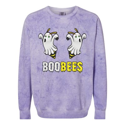 Cute Funny Ghost Halloween Boo Bees Gift Boobees Cute Gift Colorblast Crewneck Sweatshirt