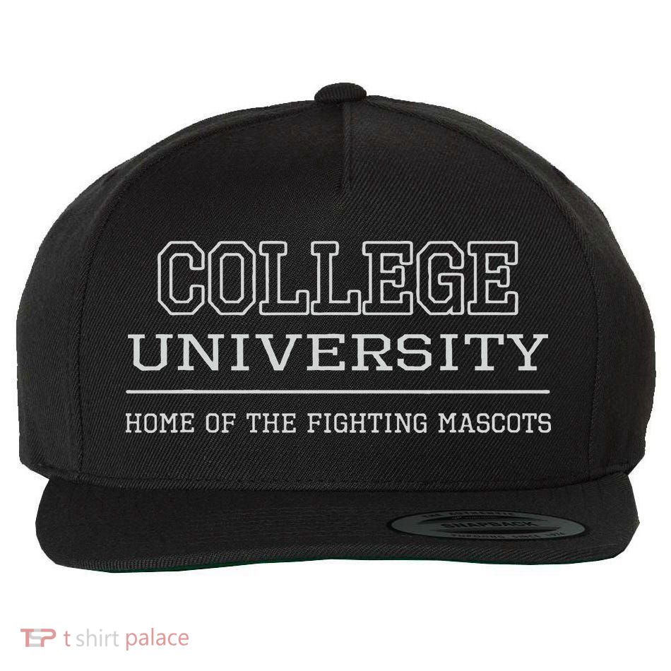 College Fun Generic Education Wool Snapback Cap