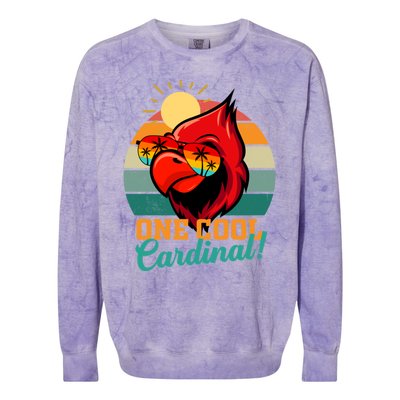 Cardinal Funny Gift Cardinal Day Birding Gift Colorblast Crewneck Sweatshirt