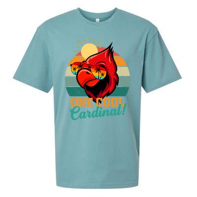 Cardinal Funny Gift Cardinal Day Birding Gift Sueded Cloud Jersey T-Shirt