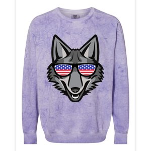 Coyote Funny Gift 4th Of July National Coyote Day Cute Gift Colorblast Crewneck Sweatshirt