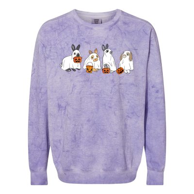 Cute Fall Ghost Bunny Rabbit Halloween Costume Spooky Season Cute Gift Colorblast Crewneck Sweatshirt