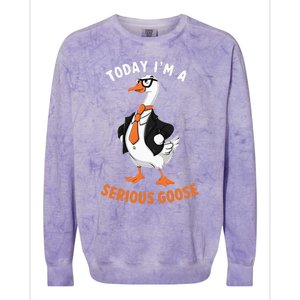 Cute Funny Goose Today IM A Serious Goose Colorblast Crewneck Sweatshirt