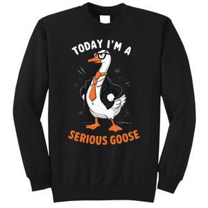 Cute Funny Goose Today IM A Serious Goose Sweatshirt