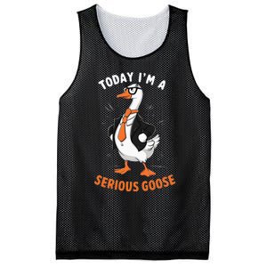 Cute Funny Goose Today IM A Serious Goose Mesh Reversible Basketball Jersey Tank