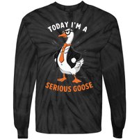 Cute Funny Goose Today IM A Serious Goose Tie-Dye Long Sleeve Shirt