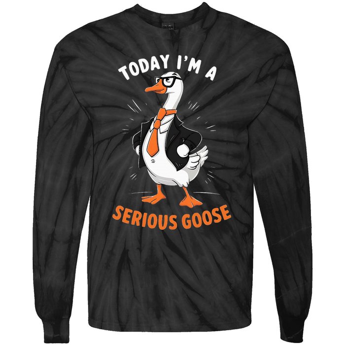 Cute Funny Goose Today IM A Serious Goose Tie-Dye Long Sleeve Shirt