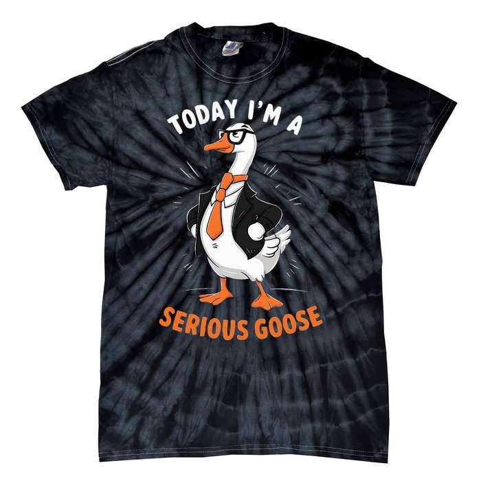 Cute Funny Goose Today IM A Serious Goose Tie-Dye T-Shirt