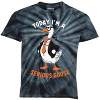 Cute Funny Goose Today IM A Serious Goose Kids Tie-Dye T-Shirt