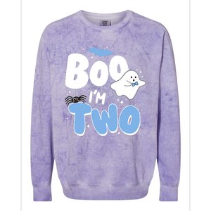 Cute Funny Halloween Boo Im Two Birthday Ghost Boy Colorblast Crewneck Sweatshirt