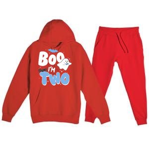 Cute Funny Halloween Boo Im Two Birthday Ghost Boy Premium Hooded Sweatsuit Set