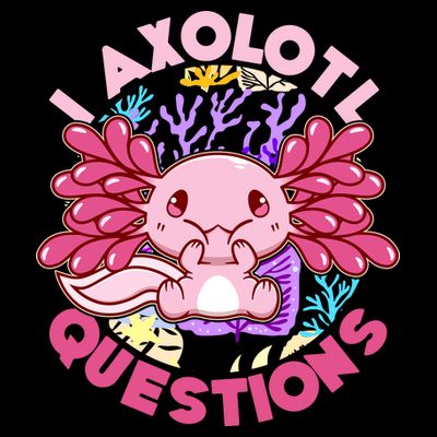 Cute Funny I Axolotl Questions T-Shirt