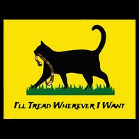 Cat Flag ILl Tread Wherever I Want Mesh Reversible Basketball Jersey Tank
