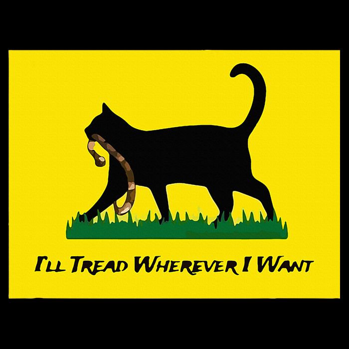 Cat Flag ILl Tread Wherever I Want Mesh Reversible Basketball Jersey Tank