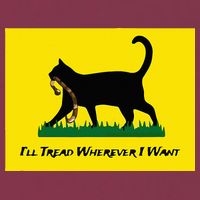 Cat Flag ILl Tread Wherever I Want 16oz Travel Tumbler