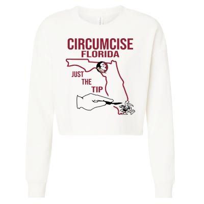Circumcise Florida Just The Tip Cropped Pullover Crew